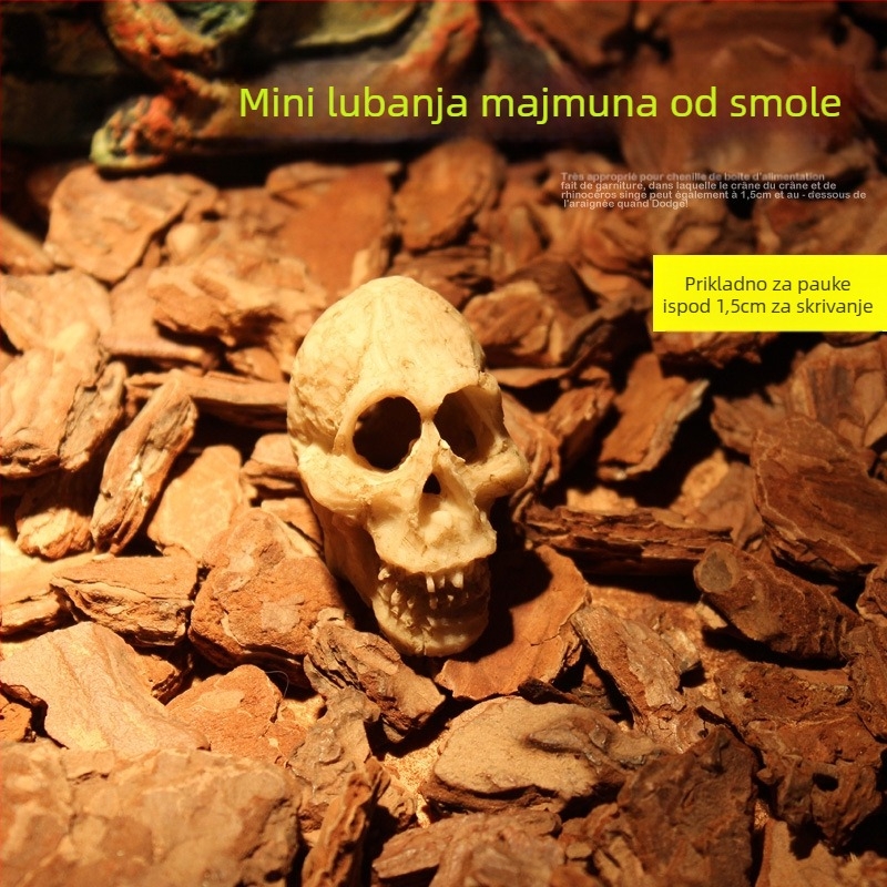 Mini lubanja kozja lubanja mumija simulacija mala lubanja puzavac pauk kutija za hranjenje krajolika ukras