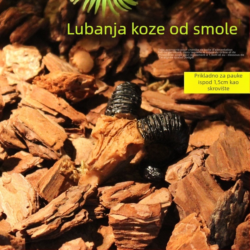 Mini lubanja kozja lubanja mumija simulacija mala lubanja puzavac pauk kutija za hranjenje krajolika ukras