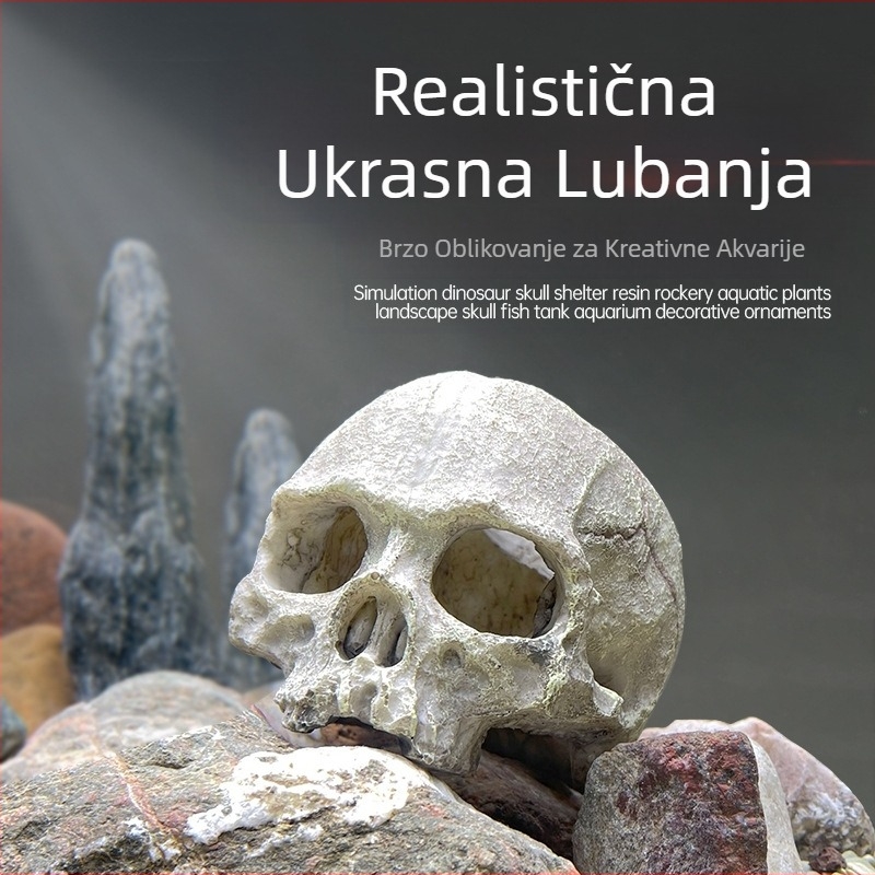 Ukrasi za uređenje akvarija, škorpion, čuvar palače, pauk, gušter, zmija, piton, lubanja, kost, uzgoj, kuća, bijeg