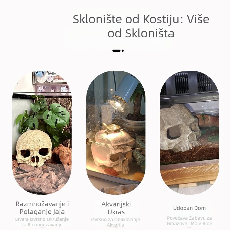 Ukrasi za uređenje akvarija, škorpion, čuvar palače, pauk, gušter, zmija, piton, lubanja, kost, uzgoj, kuća, bijeg