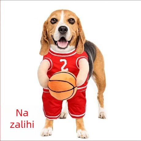 Prekogranični kreativni novi kostim za košarku za psa s loptom, kostim za košarku za psa