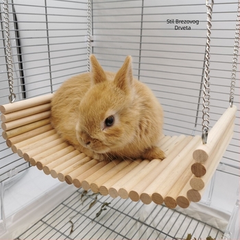 Tvornička roba patuljasti zec igračka nizozemska svinja Totoro ljuljačka od punog drva viseća ljuljačka gnijezdo set za zamorce kutnjaci potrepštine