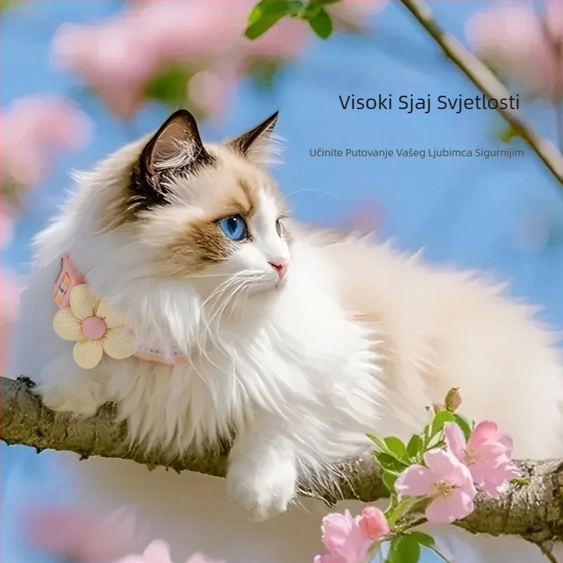 Nova ogrlica za mačke protiv odvajanja, reflektirajuća ogrlica za mačke protiv gubitka, podesiva ogrlica za kućne ljubimce srednje veličine