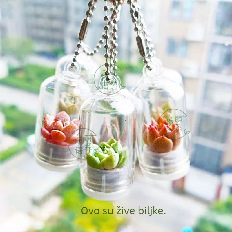 Kreativna sukulentna biljka Mali privjesak Poklon ukras Ukras za automobil Mini biljka Ublažavanje stresa Mali dodatak