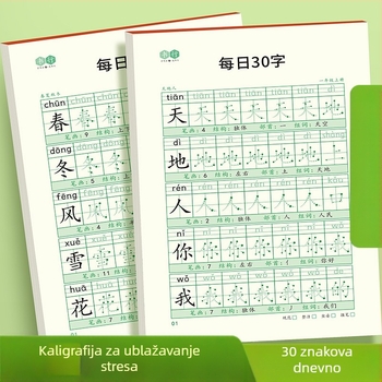 [Dekompresijska sinkrona bilježnica za pisanje 30 riječi dnevno] Dot Matrix Nove riječi Učenici osnovne škole 1.-6. razred Kinesko slikanje crvena kaligrafija vježbanica