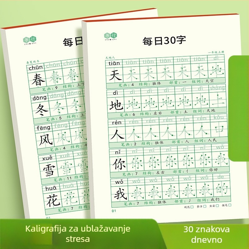 [Dekompresijska sinkrona bilježnica za pisanje 30 riječi dnevno] Dot Matrix Nove riječi Učenici osnovne škole 1.-6. razred Kinesko slikanje crvena kaligrafija vježbanica