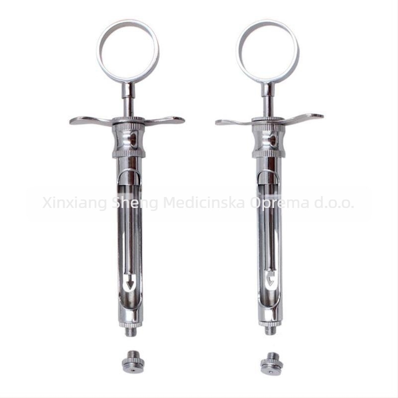 Zubarska injekcijska štrcaljka s dva vrha: kuka i oštri vrh, nehrđajući čelik