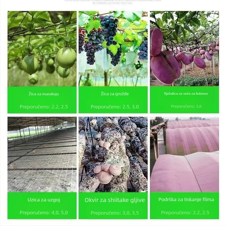 Visokoučinkovita PET poliester užad za staklenik: linija za potporu zavjese, mreža protiv ptica, linija za potporu loze i passion fruit; Marka Ruihe new materials; pogodna za okvire voćnjaka i uzgoj.