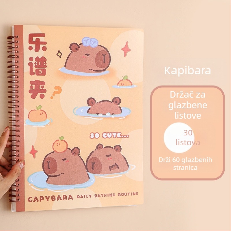 Plastični folder za partiture s klipom, mat završna površina, prilagodljiv, 20 stranica, debljina 14C