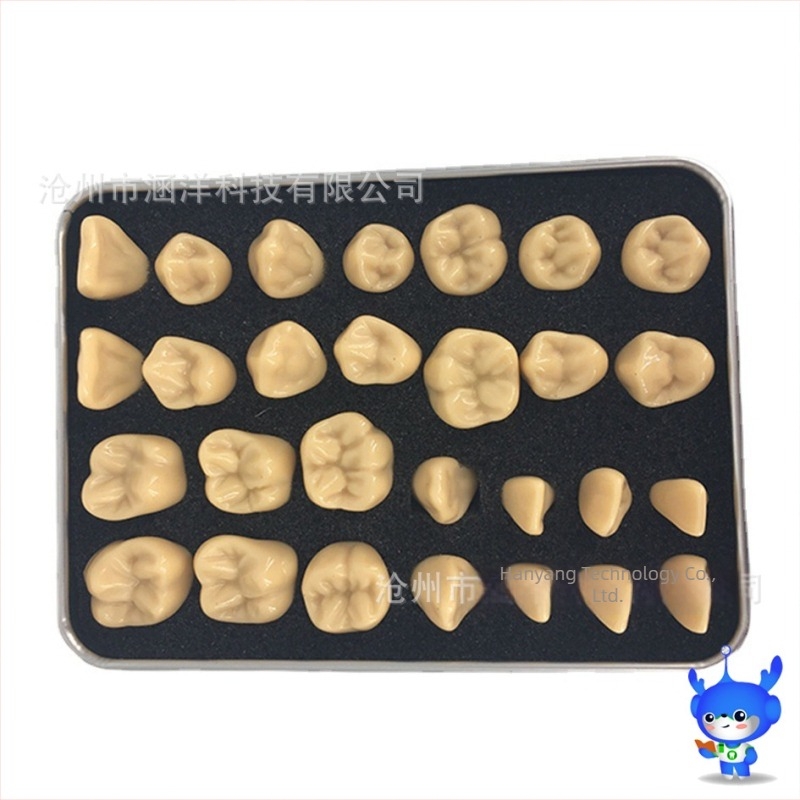 Zubni model za rezanje — brend HDF, domaća proizvodnja, barkod 448037, Kategorija: Ostale kemikalije za oralnu njegu