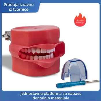Model za pripremu zuba s kompletnim nizom zuba, s uklonjivim zubima i modelom lica i glave za nastavne prikaze