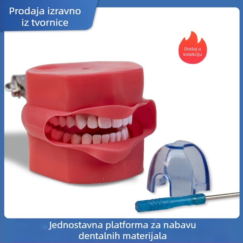 Model za pripremu zuba s kompletnim nizom zuba, s uklonjivim zubima i modelom lica i glave za nastavne prikaze
