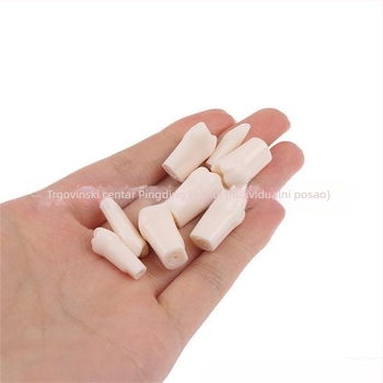 Zubni model za obuku s 32 zubima, otvorena pulpa, uključene vijčice, za odrasle