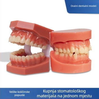 Stomatološki model zuba za demonstraciju malokluzije i ortodontsku obuku (Brand: Leap to the courage; Odrasli; 100 komada; Hebei)