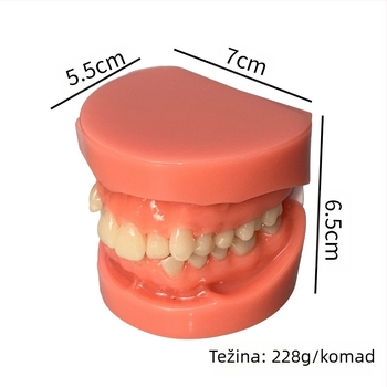 Stomatološki model zuba za demonstraciju malokluzije i ortodontsku obuku (Brand: Leap to the courage; Odrasli; 100 komada; Hebei)