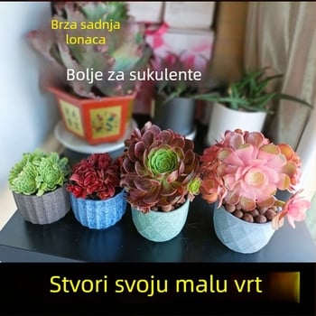 Keramički lonac za sukulente, prozračan i otporan, pečen pri visokim temperaturama, za stol ili pod