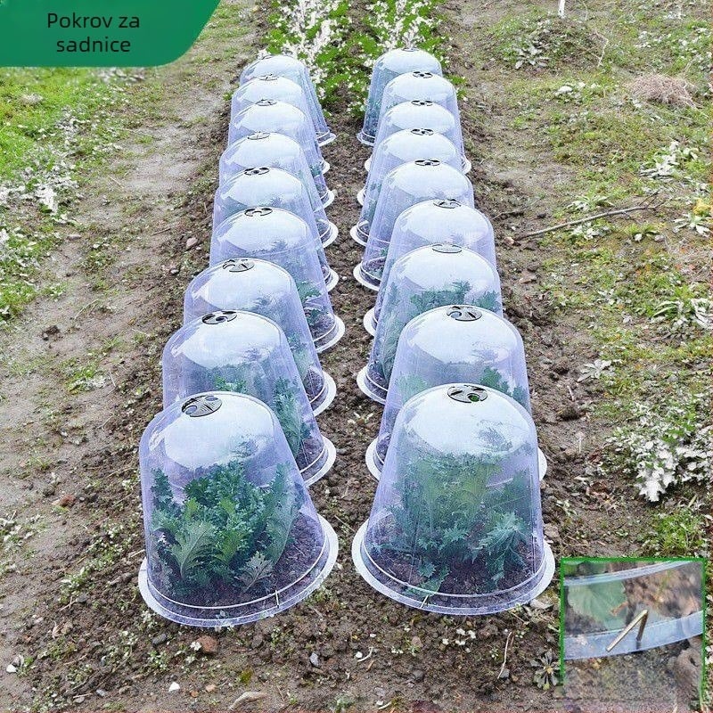 Izolirana prozirna zaštita za sadnice voća i povrća, 3-dijelni plastični set, zaštita od mraza i ptica
