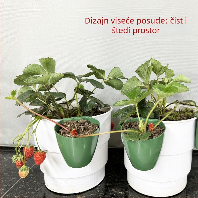 Plastična posuda za uzgoj sadnica jagoda, pogodna za plastenik, prozračan lonac za presađivanje