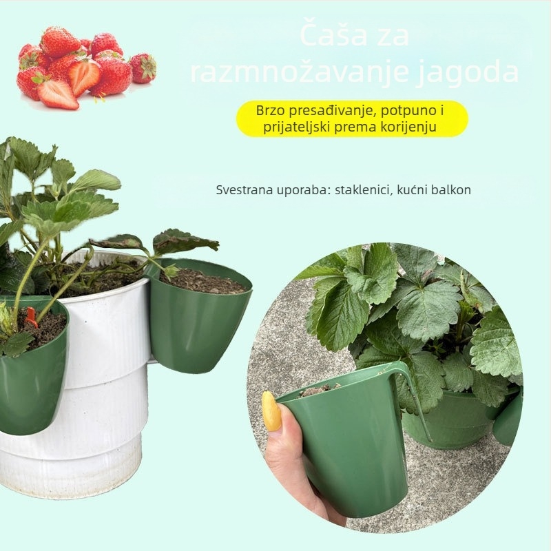 Plastična posuda za uzgoj sadnica jagoda, pogodna za plastenik, prozračan lonac za presađivanje