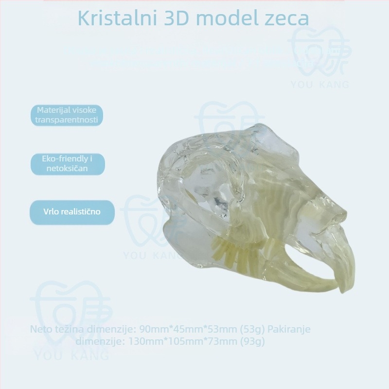 Model zuba za kućne ljubimce za podučavanje, Youkang Technology, OEM dentalni kalup, 100 komada u kutiji, kategorija: druge kemikalije za oralnu njegu