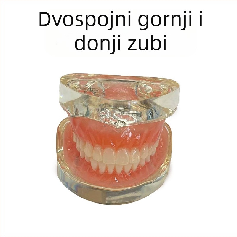 Model dentalnog implantata za vježbanje – gornja i donja čeljust, pola usta s 2 ili 4 implantata