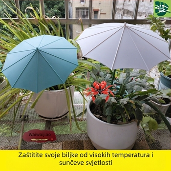 Parasol za biljke od vlakana stakla za vanjsku upotrebu – zaštita od sunca i kiše za sukulentne bonsaie u posudama