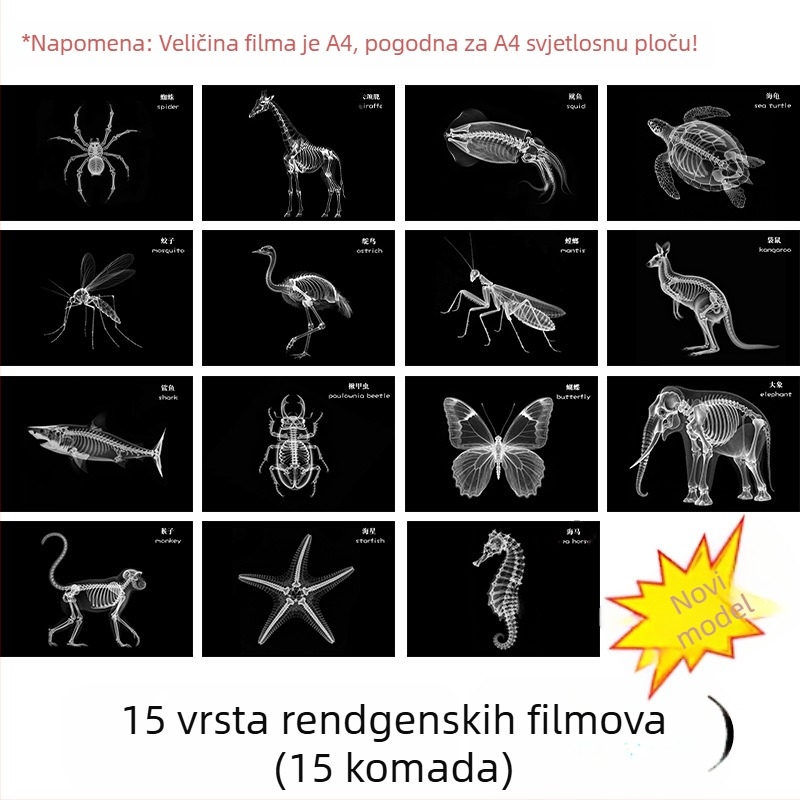 Montessori-Reggio svjetlosno-sjene DIY X-ray prsten edukativna igračka za bebe 0–3 godine, znanstveni kutak za djevojčice