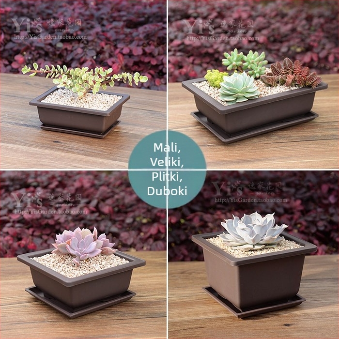 Sukulentna posuda od smole, pravokutnog oblika, plitkog dizajna, set za sadnju i donja posuda za kućnu uporabu