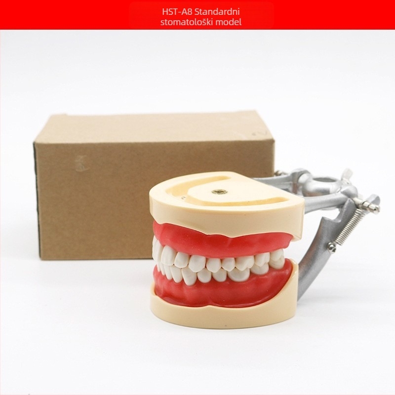 Model za dentalnu nastavu s patološkom rekonstrukcijom zuba i standardnim kalupom za implantate — domaća marka, tiskano logotipom, za dentalno obrazovanje