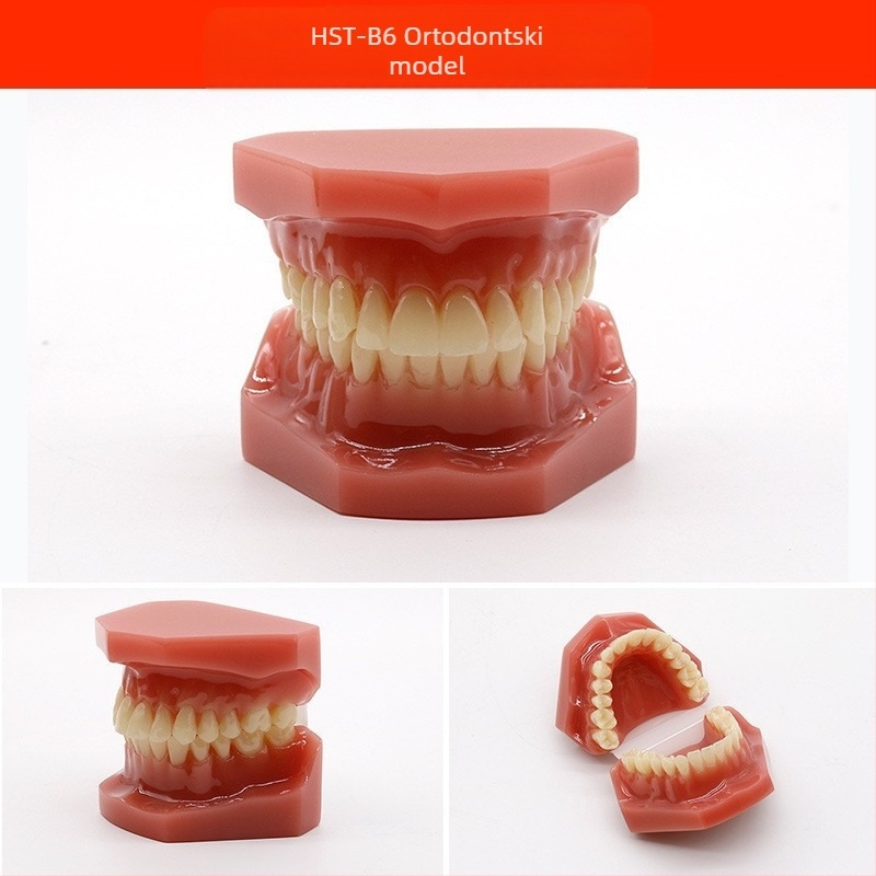 Model za dentalnu nastavu s patološkom rekonstrukcijom zuba i standardnim kalupom za implantate — domaća marka, tiskano logotipom, za dentalno obrazovanje