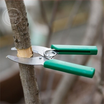 Škarice za rezanje prstena – za grožđe, grane i voćna stabla – Pride surplus; Materijal: Drugi; Uvoz: Ne