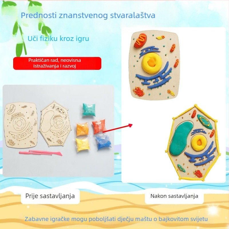 Poučni set modela biljnih i životinjskih stanica, drveni materijal, DIY, neelektrični, za uzrast 7–14 godina