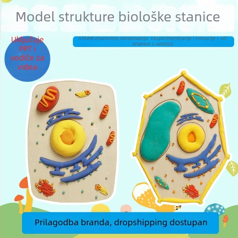 Poučni set modela biljnih i životinjskih stanica, drveni materijal, DIY, neelektrični, za uzrast 7–14 godina