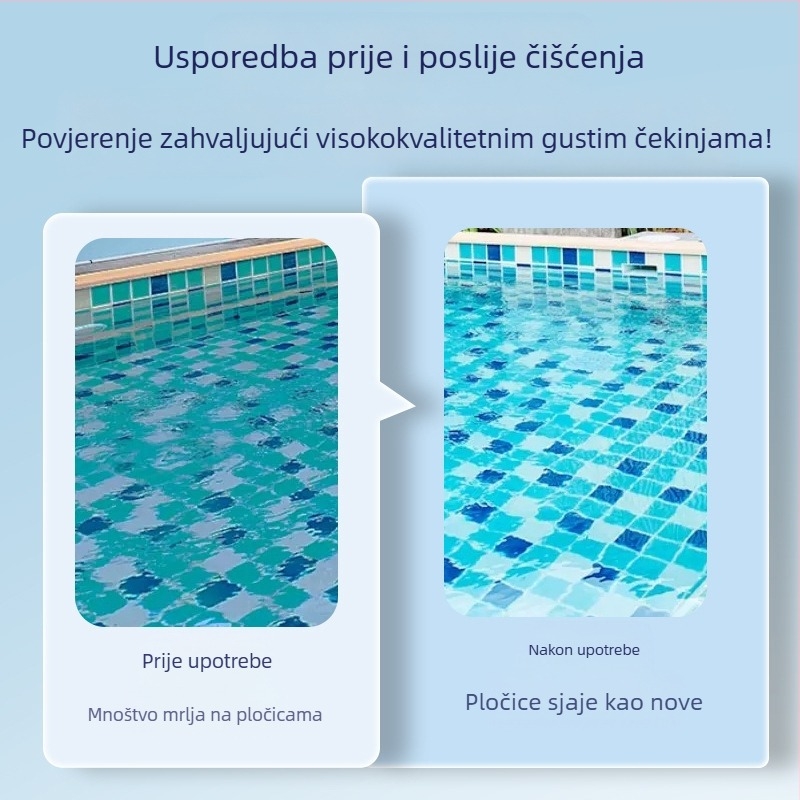 MONITOK Nehrđajući čelični alat za čišćenje bazena s četkom i priborom usisne glave