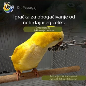 Igračka za papige za žvakanje i opuštanje, nehrđajući čelik, viseći privjesak za kavez, interaktivno (Podrijetlo: Wenzhou; Uvoz: Ne)
