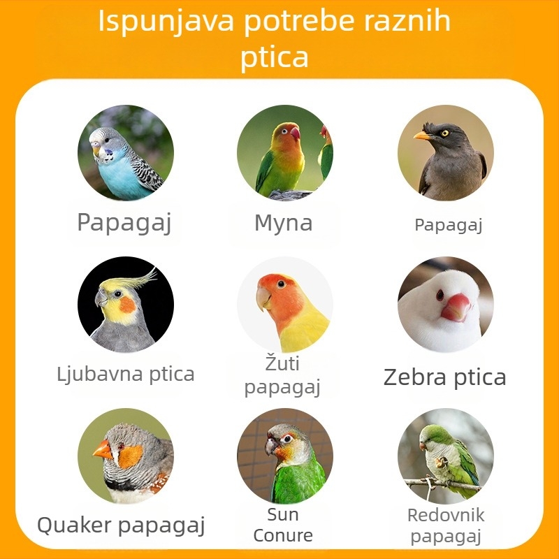 Kupaonica za ptice – za papige i male ptice, motiv tigrova koža i božur, stil Crni Feniks