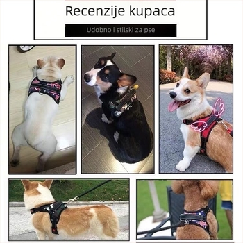 Harnas u stilu veste s povodcem za male i srednje pse — Toy Poodle, Francuski buldog, Corgi