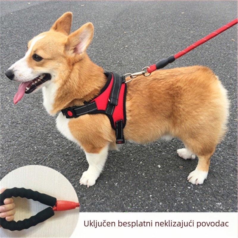 Harnas u stilu veste s povodcem za male i srednje pse — Toy Poodle, Francuski buldog, Corgi