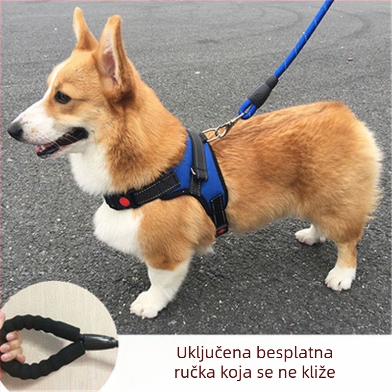 Harnas u stilu veste s povodcem za male i srednje pse — Toy Poodle, Francuski buldog, Corgi
