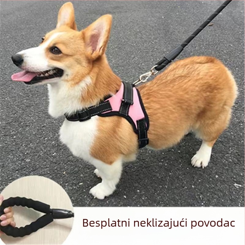 Harnas u stilu veste s povodcem za male i srednje pse — Toy Poodle, Francuski buldog, Corgi