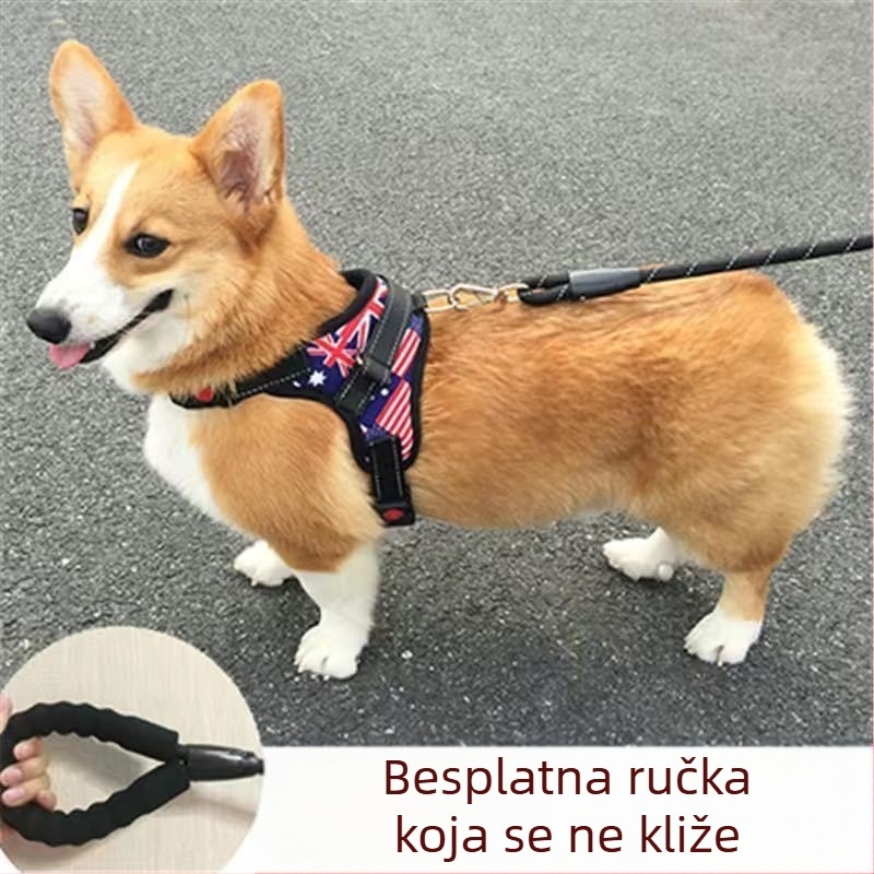 Harnas u stilu veste s povodcem za male i srednje pse — Toy Poodle, Francuski buldog, Corgi