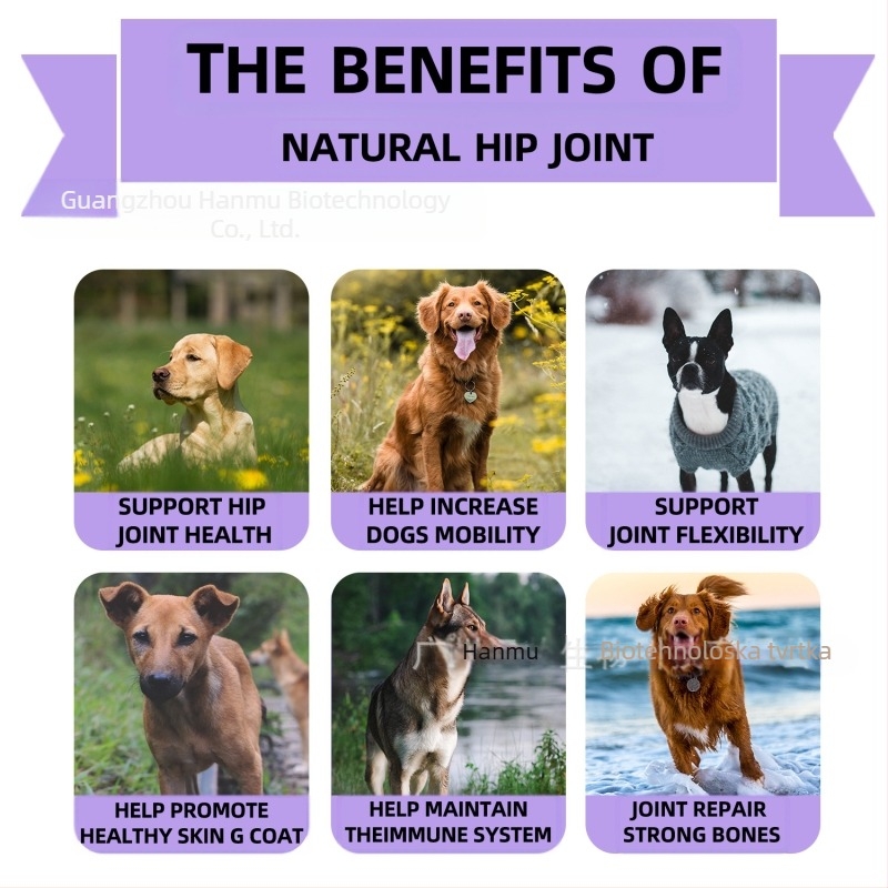 Angel Paws Psi tablete za zglobove i kukove za žvakanje – 50 tableta u kutiji, 300 g, certifikati FDA COA GMP ISO9001 HACCP