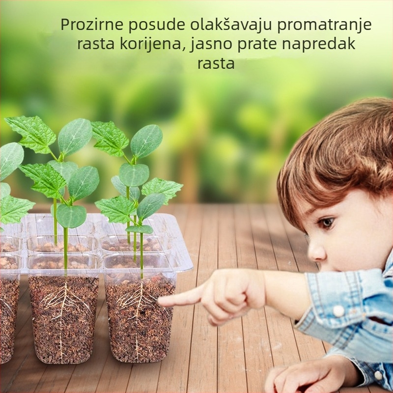 12-rata plastična posuda za sadnice, set od 6 komada, označena, za klijanje i uzgoj sukulenata, zadržava toplinu i vlagu, prozirna i otporna