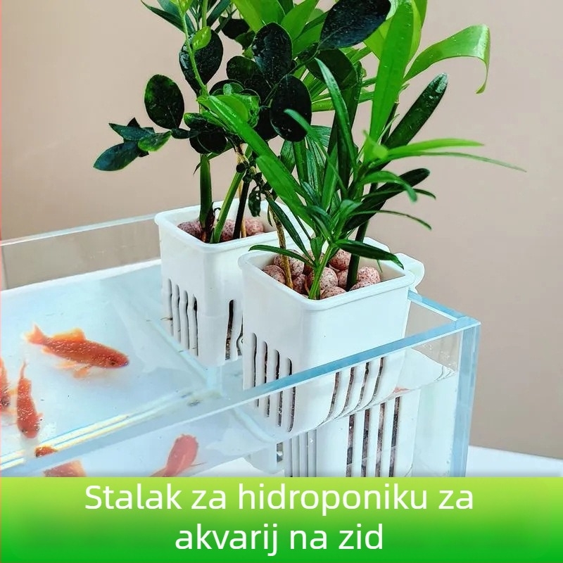 Zidna hidroponska čašica za vodene biljke s šupljim košem za sadnju (Porijeklo: Shandong)