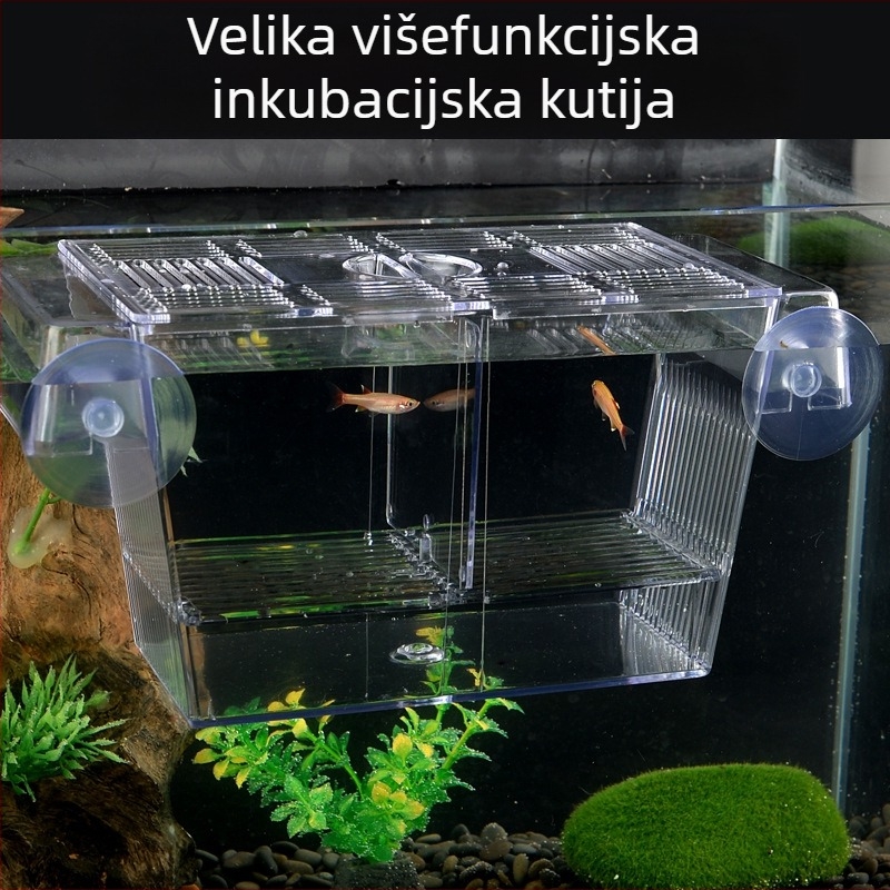 Akrilna inkubacijska kutija za akvarijske ribe – inkubacija i izolacija, različiti stilovi