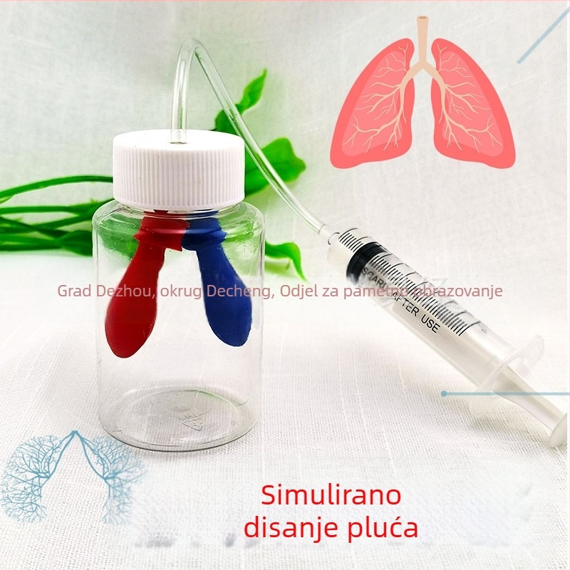 Plastični edukativni model za simulaciju disanja, biologija/kemija, DIY sklapanje, uzrast 7–14 godina, Honeycomb Maze