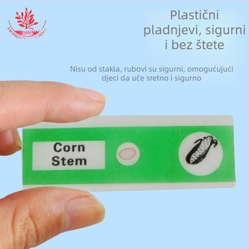 Mangrove PVC biološki uzorci, 12-dijelni set za mikroskopijske pločice (životinje i biljke)