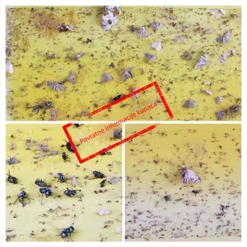 Ljepljiva zamka za insekte s lampom za komarce, ljepljivi listovi za muhe i ulovna ploča za komercijalnu uporabu