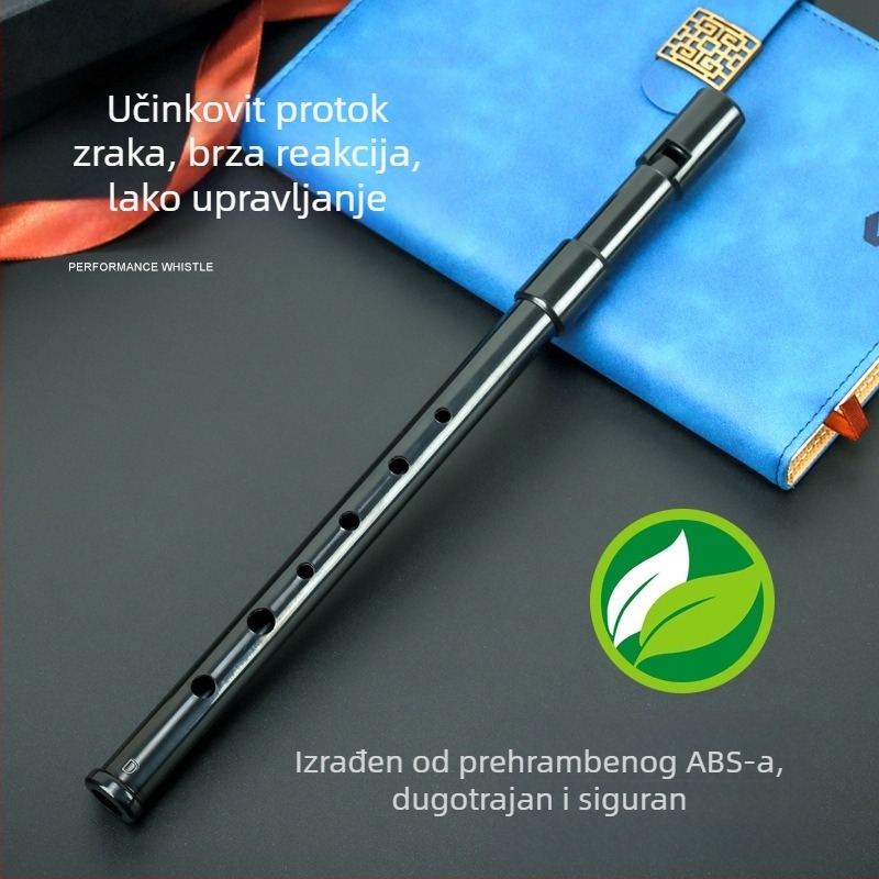 Schwinger Flauta u plastičnoj kutiji za glazbene instrumente
