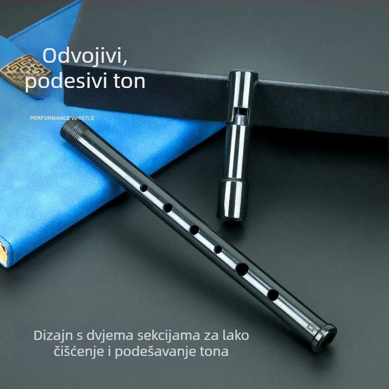 Schwinger Flauta u plastičnoj kutiji za glazbene instrumente